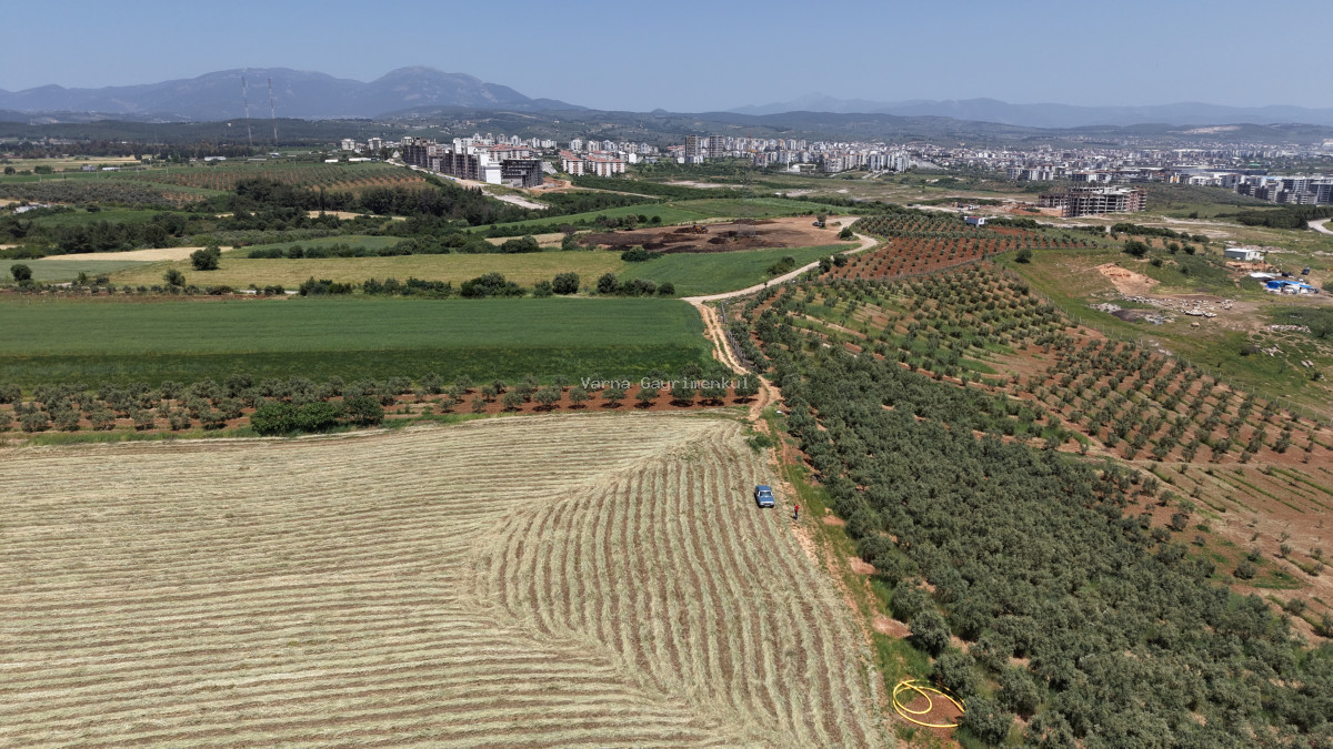 OĞLANANASINDA SATILIK TEKTAPU 840 M2 İMARIN DİBİNDE YATIRIMLIK BAHÇE - 11