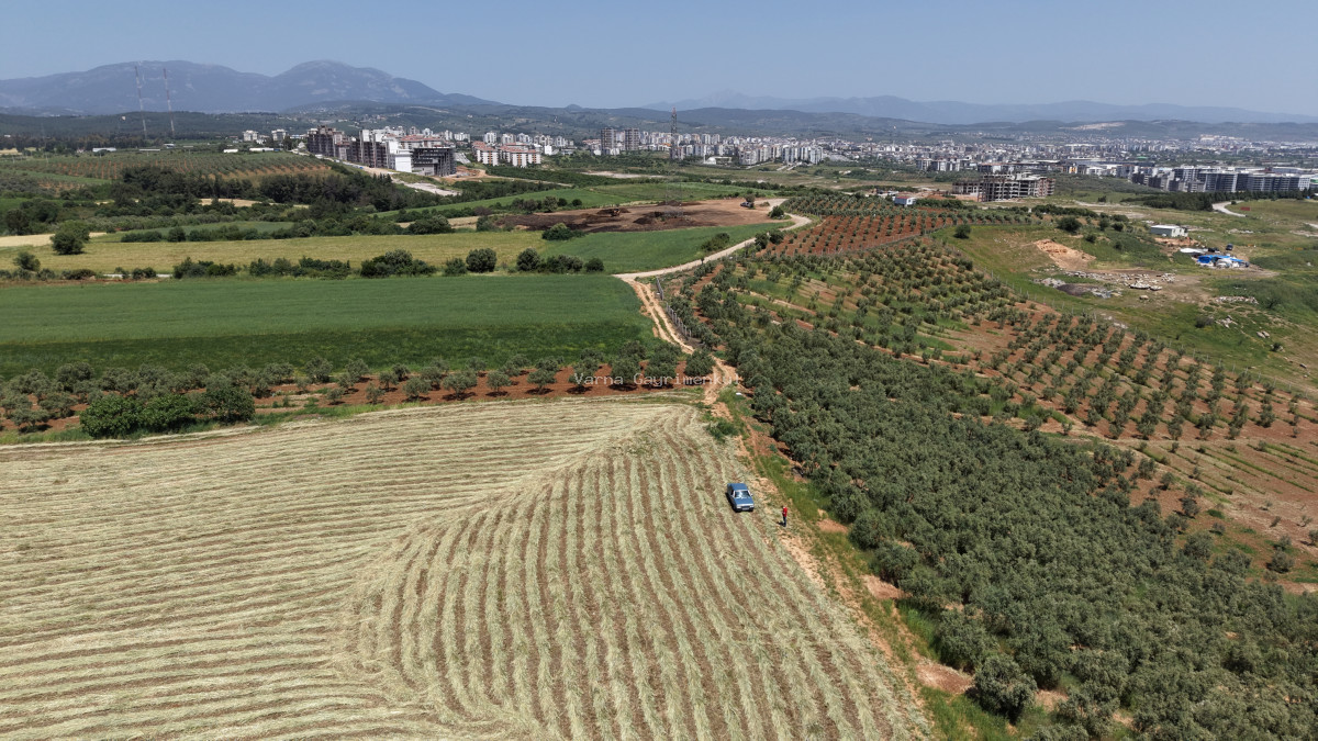 OĞLANANASINDA SATILIK TEKTAPU 840 M2 İMARIN DİBİNDE YATIRIMLIK BAHÇE - 13