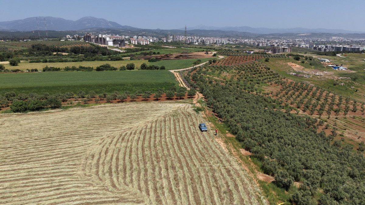 OĞLANANASINDA SATILIK TEKTAPU 840 M2 İMARIN DİBİNDE YATIRIMLIK BAHÇE - 15