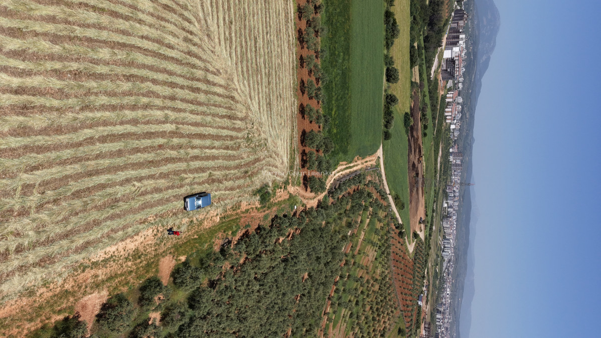 OĞLANANASINDA SATILIK TEKTAPU 840 M2 İMARIN DİBİNDE YATIRIMLIK BAHÇE - 16