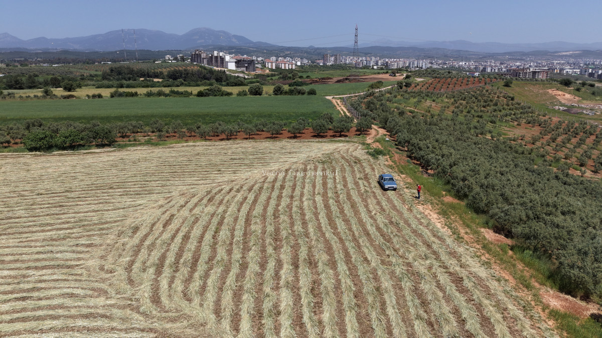 OĞLANANASINDA SATILIK TEKTAPU 840 M2 İMARIN DİBİNDE YATIRIMLIK BAHÇE - 18