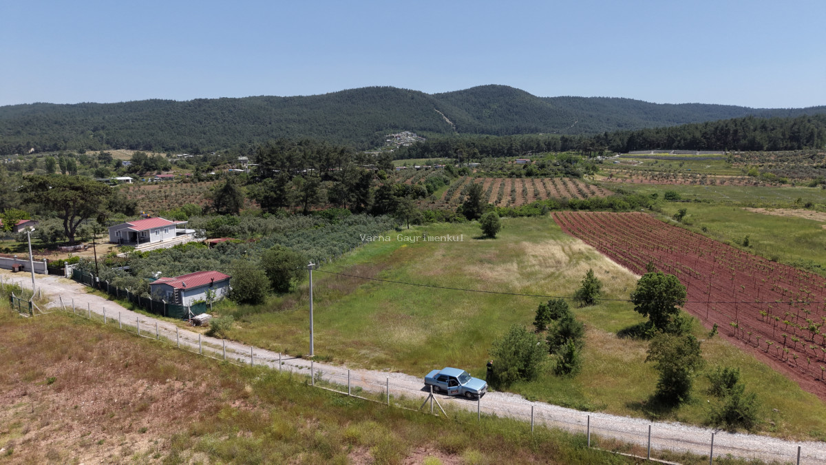 İZMİR YENİKÖYDE SATILIK 7.100 M2 TAPULU ÇİFTLİK İÇİN UYGUN MUHTEŞEM ARAZİ