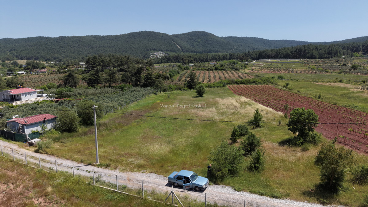 İZMİR YENİKÖYDE SATILIK 7.100 M2 TAPULU ÇİFTLİK İÇİN UYGUN MUHTEŞEM ARAZİ - 2