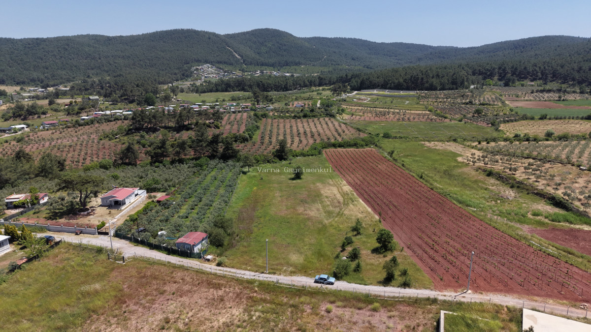 İZMİR YENİKÖYDE SATILIK 7.100 M2 TAPULU ÇİFTLİK İÇİN UYGUN MUHTEŞEM ARAZİ - 4