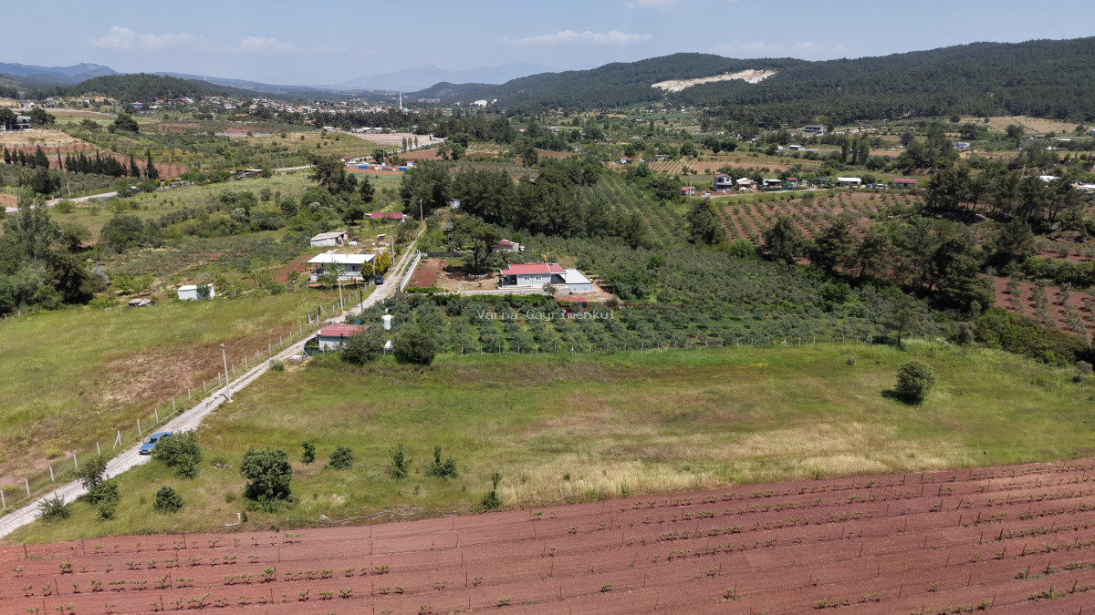 İZMİR YENİKÖYDE SATILIK 7.100 M2 TAPULU ÇİFTLİK İÇİN UYGUN MUHTEŞEM ARAZİ - 5