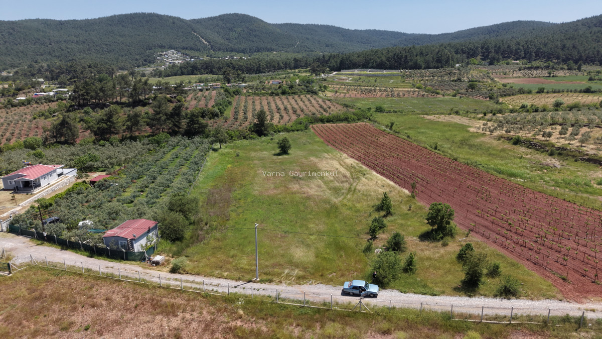 İZMİR YENİKÖYDE SATILIK 7.100 M2 TAPULU ÇİFTLİK İÇİN UYGUN MUHTEŞEM ARAZİ - 10