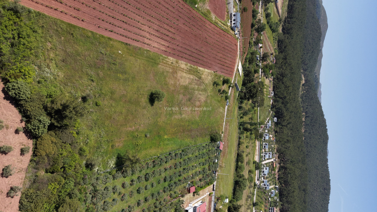 İZMİR YENİKÖYDE SATILIK 7.100 M2 TAPULU ÇİFTLİK İÇİN UYGUN MUHTEŞEM ARAZİ - 11
