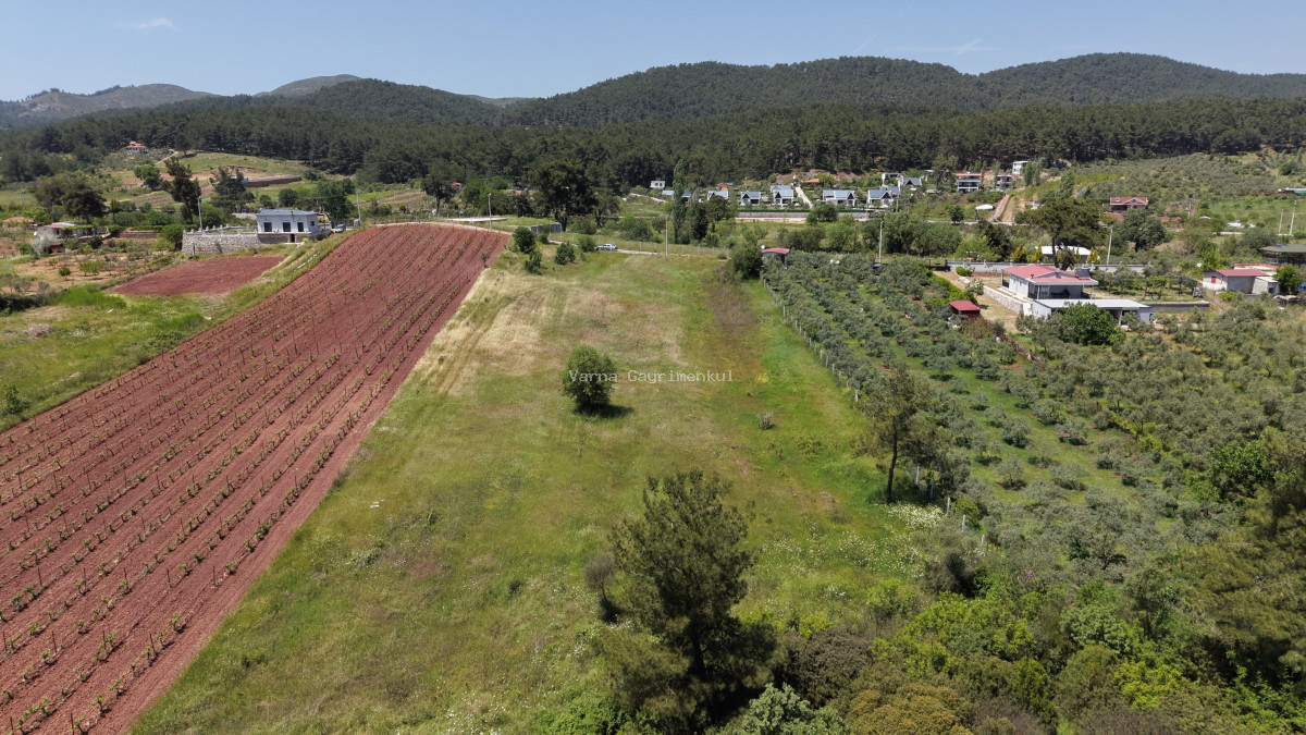 İZMİR YENİKÖYDE SATILIK 7.100 M2 TAPULU ÇİFTLİK İÇİN UYGUN MUHTEŞEM ARAZİ - 12