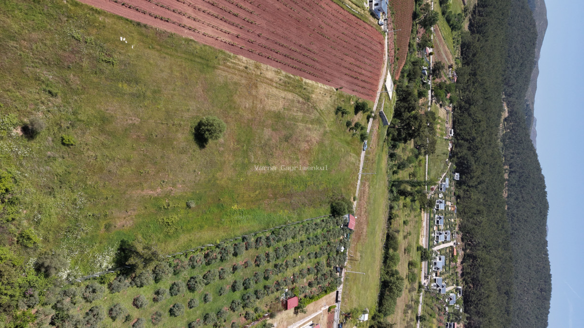 İZMİR YENİKÖYDE SATILIK 7.100 M2 TAPULU ÇİFTLİK İÇİN UYGUN MUHTEŞEM ARAZİ - 13