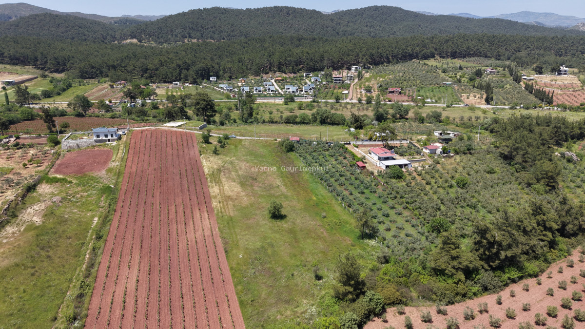 İZMİR YENİKÖYDE SATILIK 7.100 M2 TAPULU ÇİFTLİK İÇİN UYGUN MUHTEŞEM ARAZİ - 14