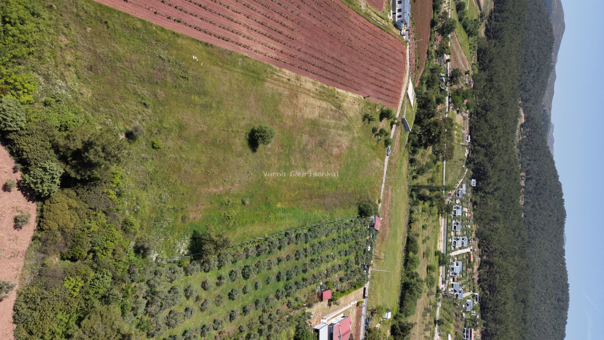 İZMİR YENİKÖYDE SATILIK 7.100 M2 TAPULU ÇİFTLİK İÇİN UYGUN MUHTEŞEM ARAZİ - 15