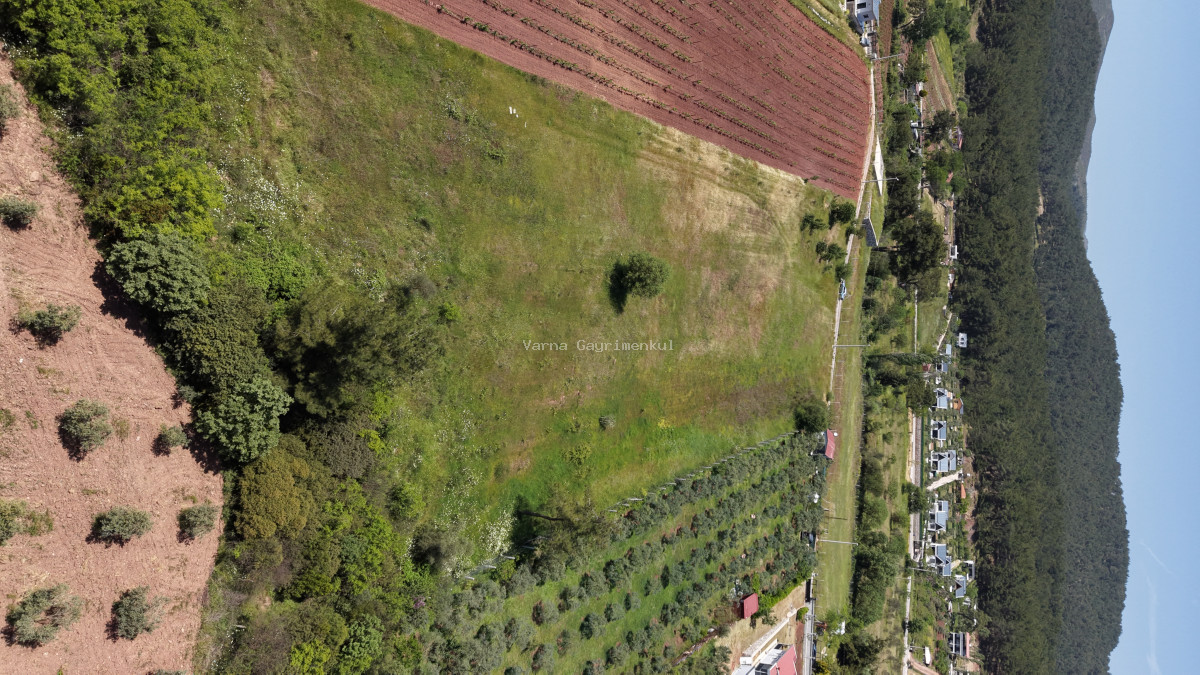 İZMİR YENİKÖYDE SATILIK 7.100 M2 TAPULU ÇİFTLİK İÇİN UYGUN MUHTEŞEM ARAZİ - 16