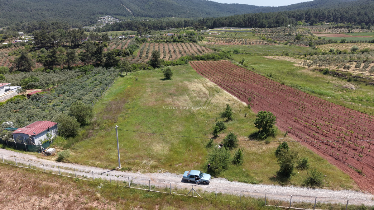 İZMİR YENİKÖYDE SATILIK 7.100 M2 TAPULU ÇİFTLİK İÇİN UYGUN MUHTEŞEM ARAZİ - 17