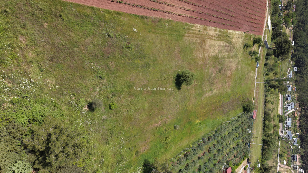 İZMİR YENİKÖYDE SATILIK 7.100 M2 TAPULU ÇİFTLİK İÇİN UYGUN MUHTEŞEM ARAZİ - 18