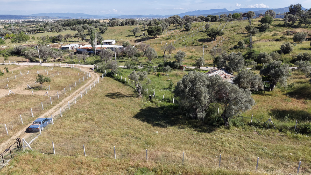İZMİR GÖRECEDE SATILIK 1.200 M2 TAPULU ELEKTRİK SULU YATIRIMLIK BAHÇE - 13