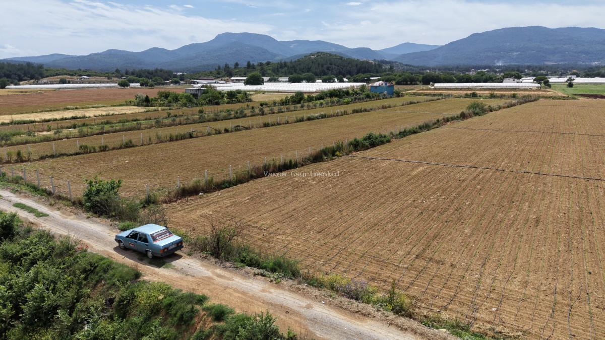 İZMİR ATAKÖYDE SATILIK TEKTAPU 2.650 M2 YATIRIMA UYGUN ARAZİ - 12
