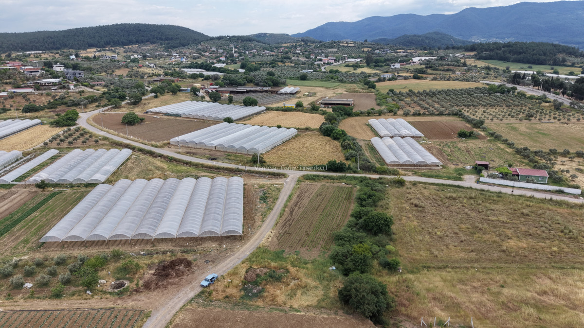 MENDERES SANCAKLIDA SATILIK TEKTAPU 1.078 M2 KÖYE YAKIN YATIRIMLIK BAHÇE - 6