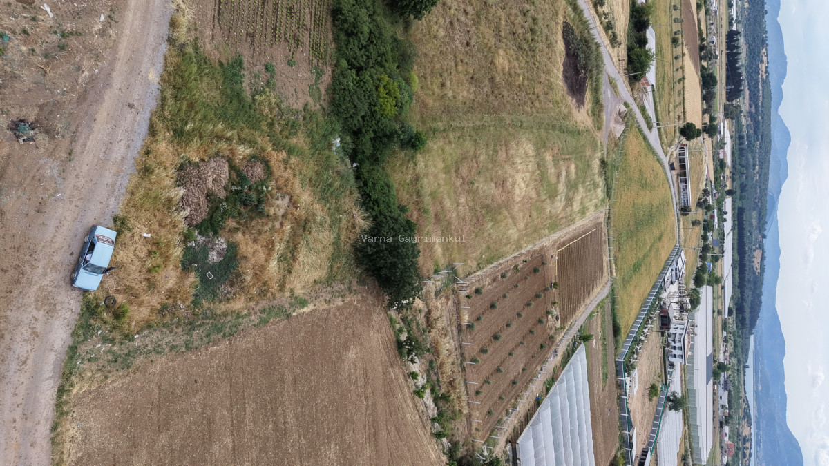 MENDERES SANCAKLIDA SATILIK TEKTAPU 1.078 M2 KÖYE YAKIN YATIRIMLIK BAHÇE - 9