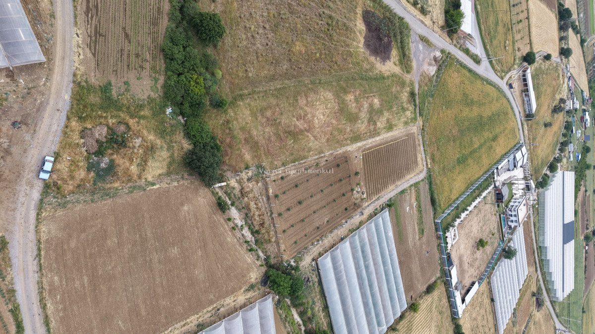 MENDERES SANCAKLIDA SATILIK TEKTAPU 1.078 M2 KÖYE YAKIN YATIRIMLIK BAHÇE - 11