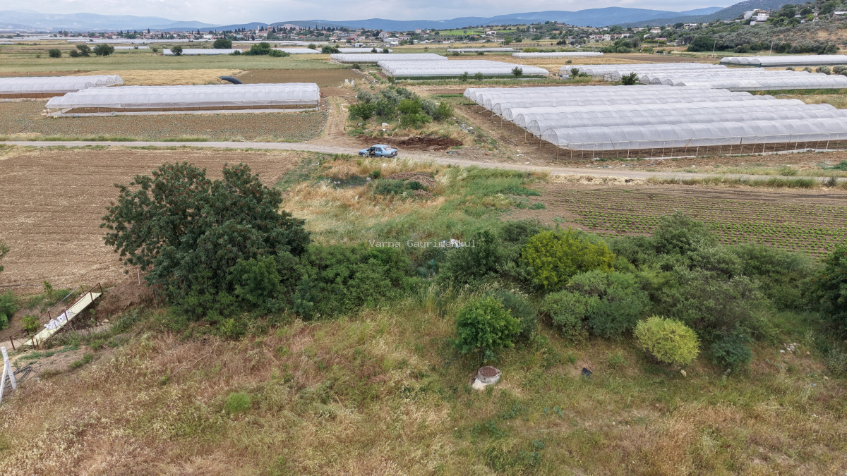MENDERES SANCAKLIDA SATILIK TEKTAPU 1.078 M2 KÖYE YAKIN YATIRIMLIK BAHÇE - 15