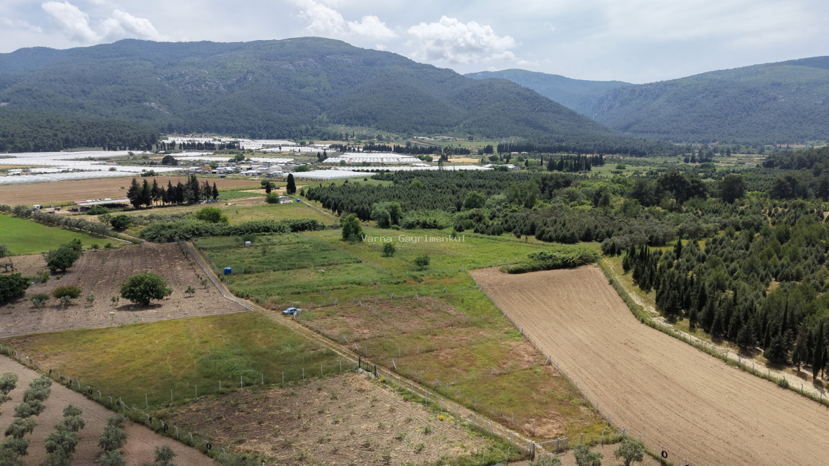İZMİR DEĞİRMENDEREDE SATILIK 407 M2 TAPULU YATIRIMLIK MANZARALI BAHÇE - 2