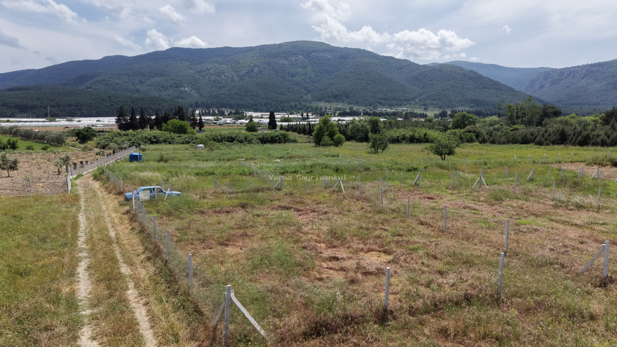İZMİR DEĞİRMENDEREDE SATILIK 407 M2 TAPULU YATIRIMLIK MANZARALI BAHÇE - 11