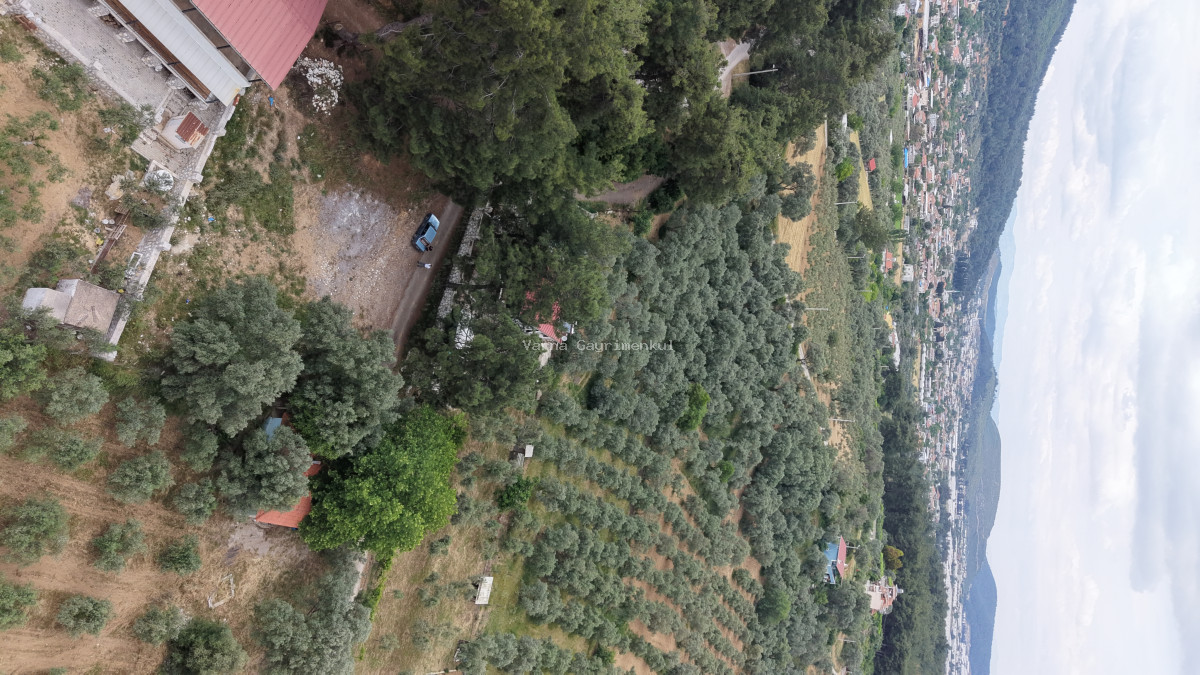 ATAKÖYDE SATILIK TEKTAPU 1.000 M2 KÖY KENARI ARSA GİBİ BAHÇE - 2