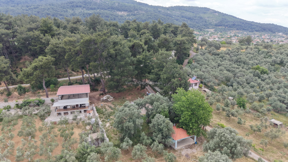 ATAKÖYDE SATILIK TEKTAPU 1.000 M2 KÖY KENARI ARSA GİBİ BAHÇE