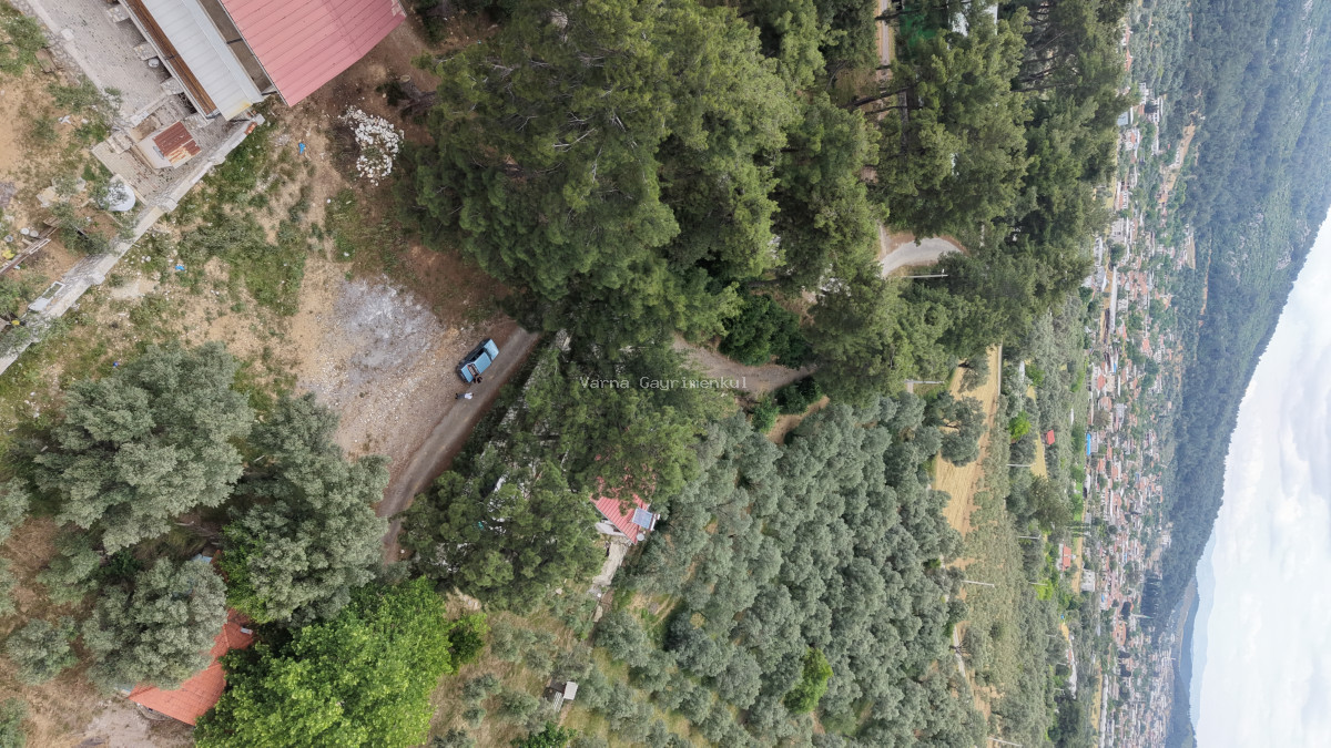 ATAKÖYDE SATILIK TEKTAPU 1.000 M2 KÖY KENARI ARSA GİBİ BAHÇE - 4