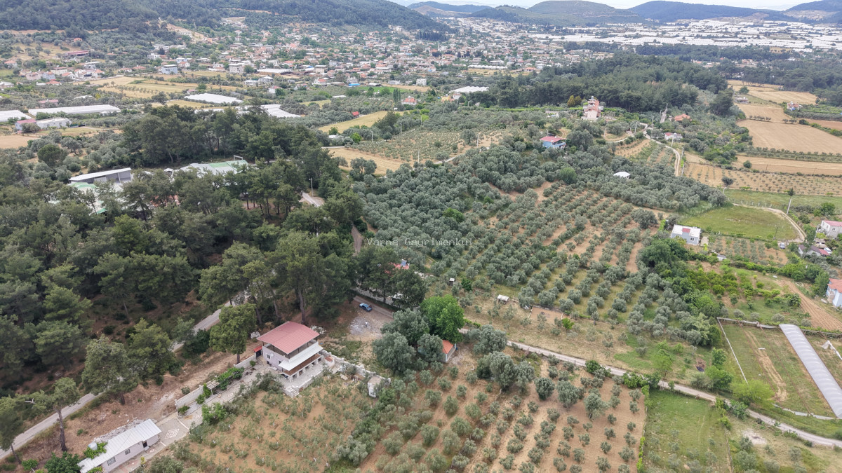 ATAKÖYDE SATILIK TEKTAPU 1.000 M2 KÖY KENARI ARSA GİBİ BAHÇE - 5