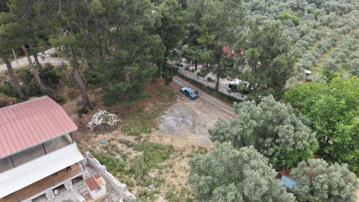 ATAKÖYDE SATILIK TEKTAPU 1.000 M2 KÖY KENARI ARSA GİBİ BAHÇE - 6