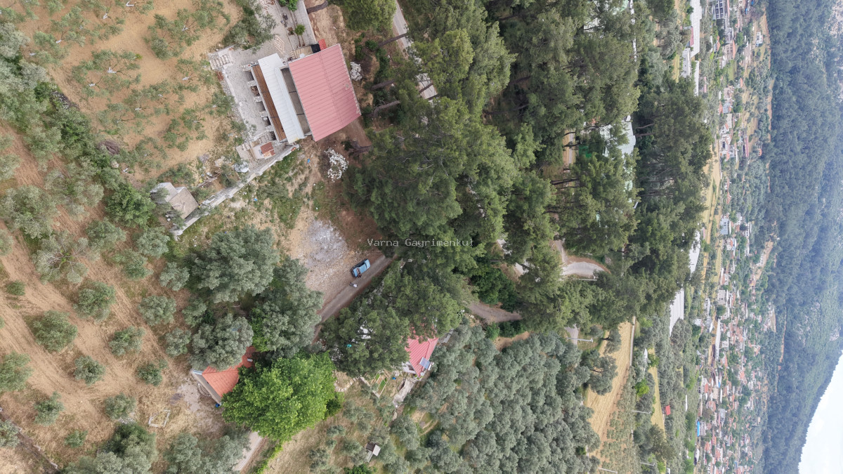 ATAKÖYDE SATILIK TEKTAPU 1.000 M2 KÖY KENARI ARSA GİBİ BAHÇE - 7