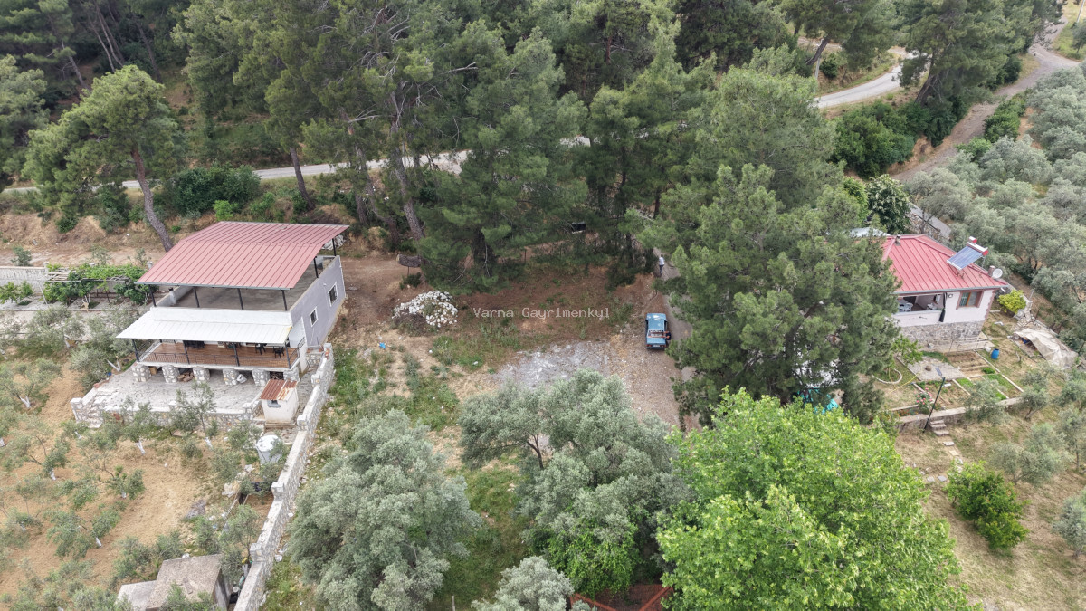 ATAKÖYDE SATILIK TEKTAPU 1.000 M2 KÖY KENARI ARSA GİBİ BAHÇE - 8
