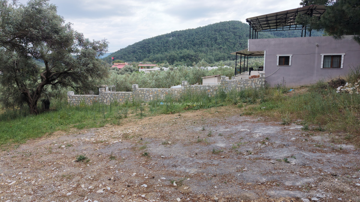 ATAKÖYDE SATILIK TEKTAPU 1.000 M2 KÖY KENARI ARSA GİBİ BAHÇE - 9