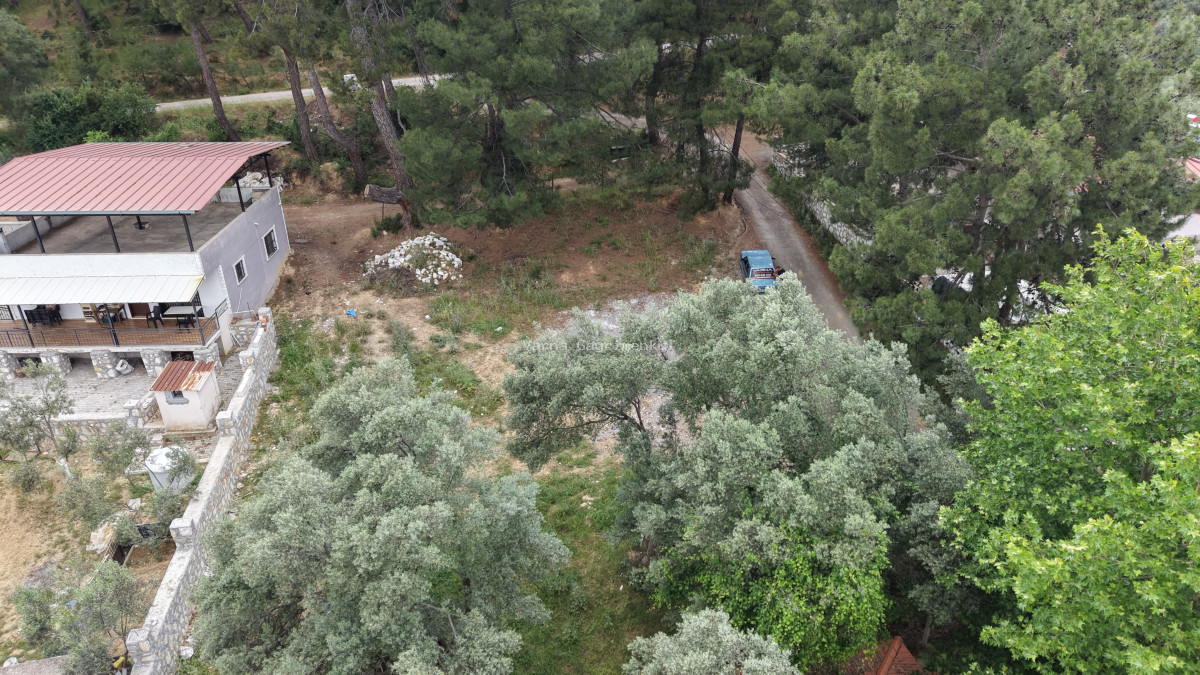 ATAKÖYDE SATILIK TEKTAPU 1.000 M2 KÖY KENARI ARSA GİBİ BAHÇE - 13