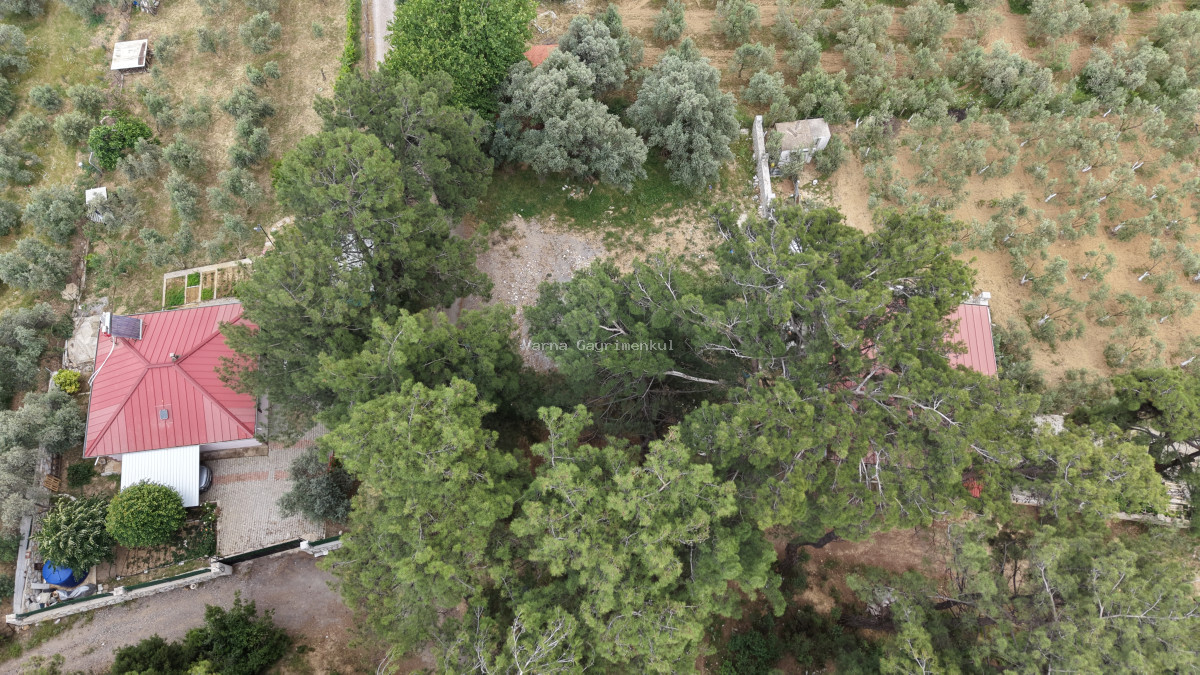 ATAKÖYDE SATILIK TEKTAPU 1.000 M2 KÖY KENARI ARSA GİBİ BAHÇE - 14