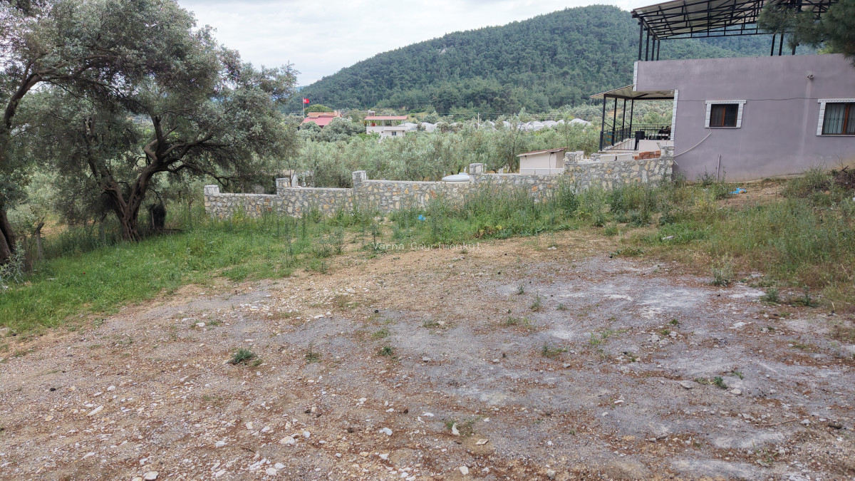 ATAKÖYDE SATILIK TEKTAPU 1.000 M2 KÖY KENARI ARSA GİBİ BAHÇE - 18