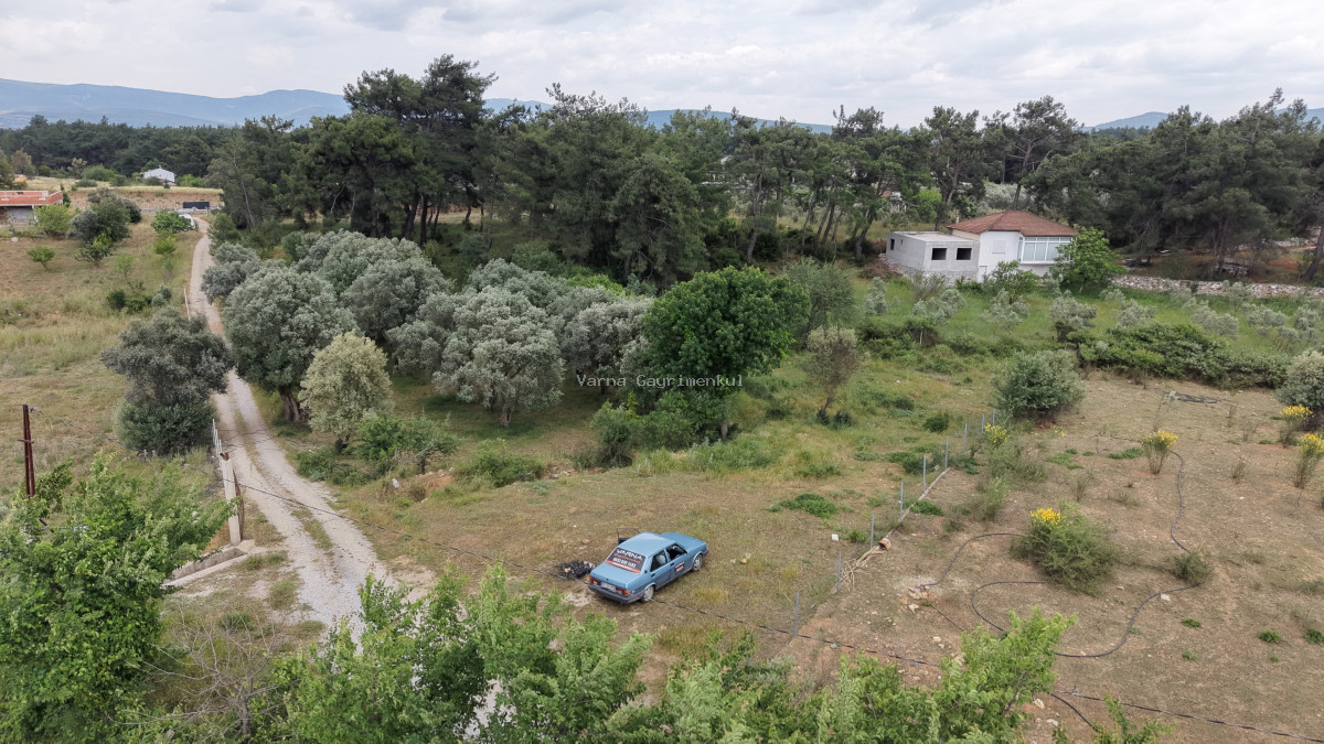 İZMİR ATAKÖYDE SATILIK TEKTAPU 1.066 M2 MUHTEŞEM KONUMDA BAHÇE - 5