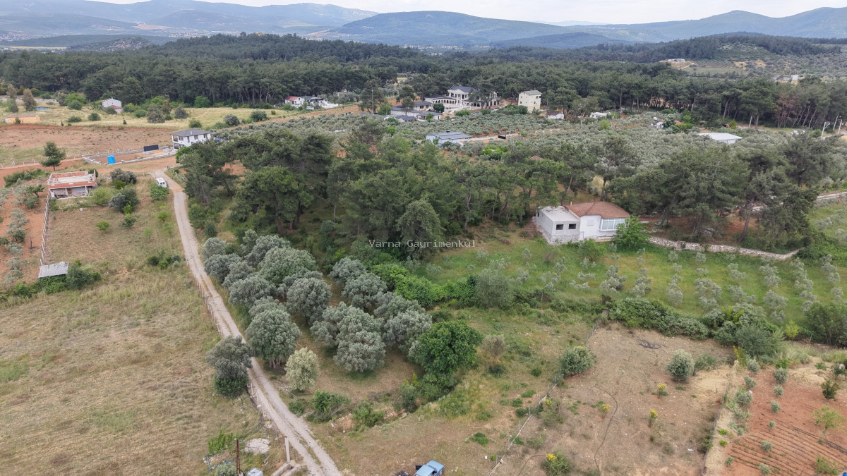 İZMİR ATAKÖYDE SATILIK TEKTAPU 1.066 M2 MUHTEŞEM KONUMDA BAHÇE - 6