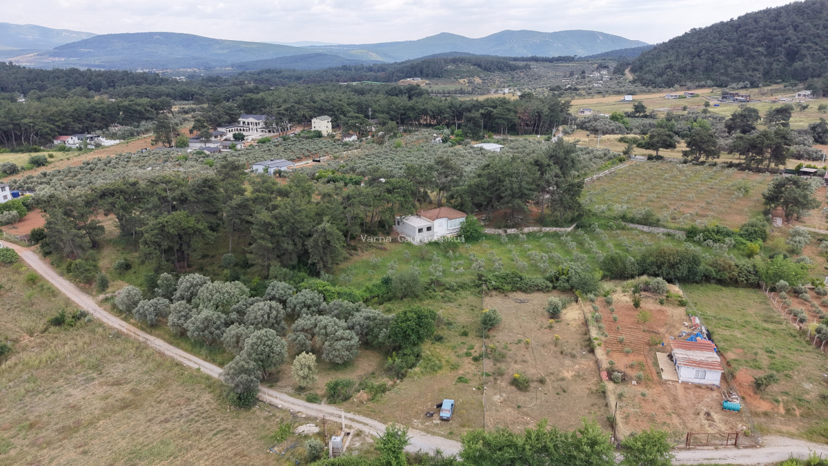 İZMİR ATAKÖYDE SATILIK TEKTAPU 1.066 M2 MUHTEŞEM KONUMDA BAHÇE - 7