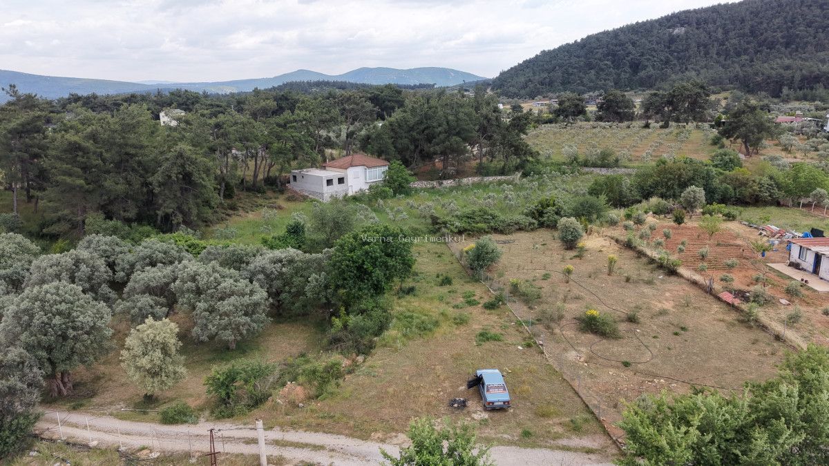 İZMİR ATAKÖYDE SATILIK TEKTAPU 1.066 M2 MUHTEŞEM KONUMDA BAHÇE - 8