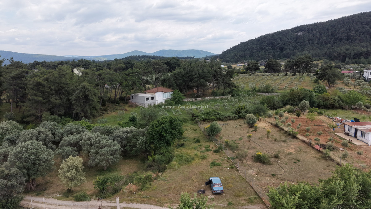 İZMİR ATAKÖYDE SATILIK TEKTAPU 1.066 M2 MUHTEŞEM KONUMDA BAHÇE - 9