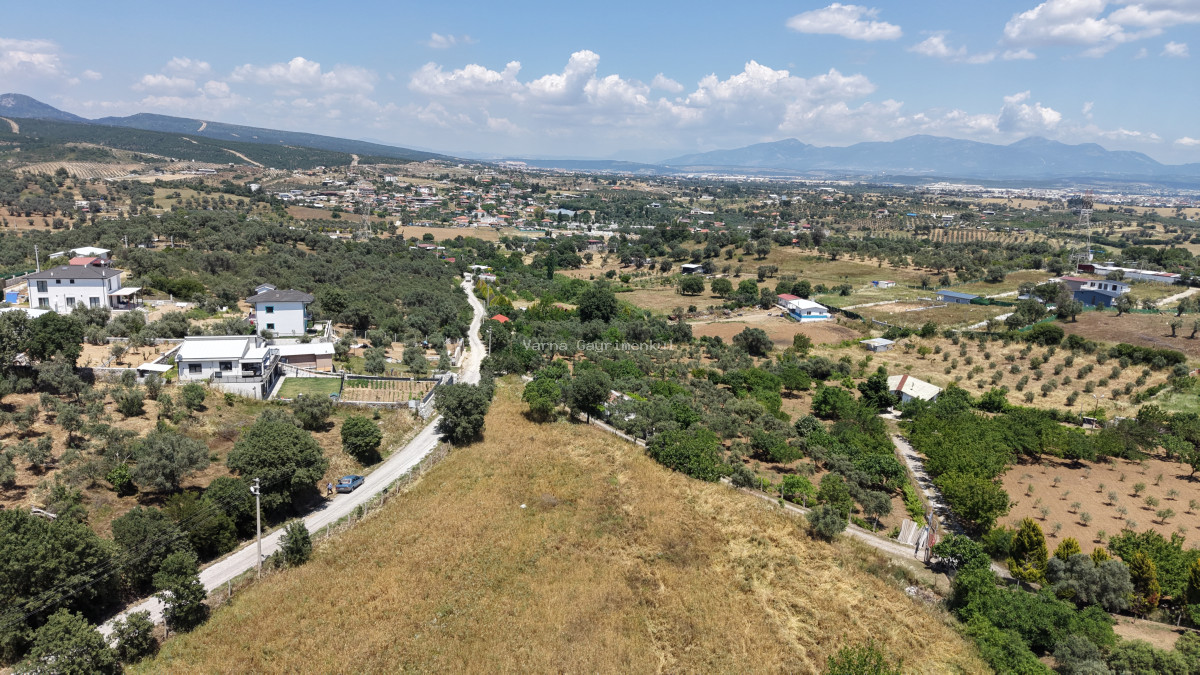 MENDERES AKÇAKÖYDE SATILIK 660 M2 TAPULU SÜPER KONUMDA ELEKTRİĞİ OLAN BAHÇE