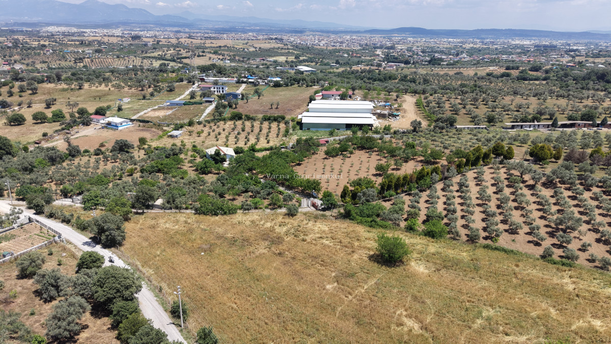 MENDERES AKÇAKÖYDE SATILIK 660 M2 TAPULU SÜPER KONUMDA ELEKTRİĞİ OLAN BAHÇE - 6