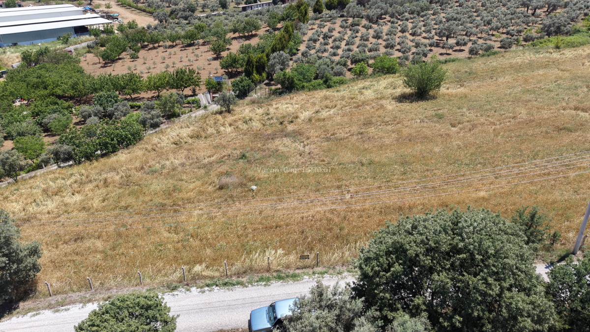 MENDERES AKÇAKÖYDE SATILIK 660 M2 TAPULU SÜPER KONUMDA ELEKTRİĞİ OLAN BAHÇE - 16