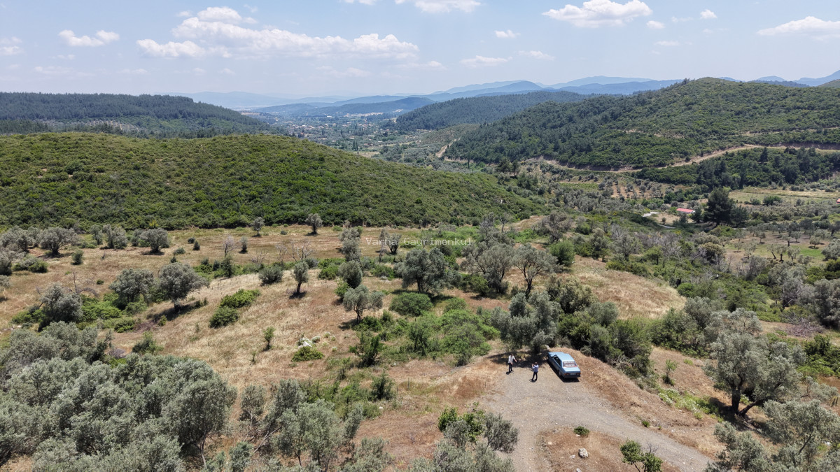 İZMİR ÇATALCADA SATILIK TEKTAPU 3.050 M2 KÖYE YAKIN MANZARALI YATIRIMLIK BAHÇE - 5