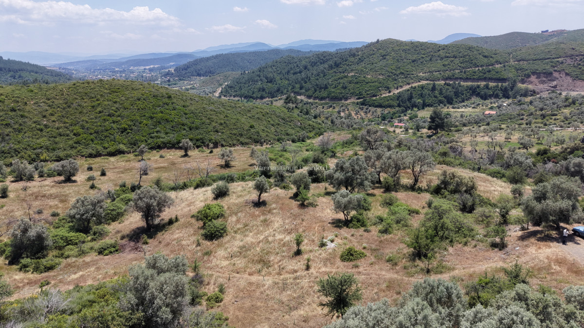 İZMİR ÇATALCADA SATILIK TEKTAPU 3.050 M2 KÖYE YAKIN MANZARALI YATIRIMLIK BAHÇE - 10