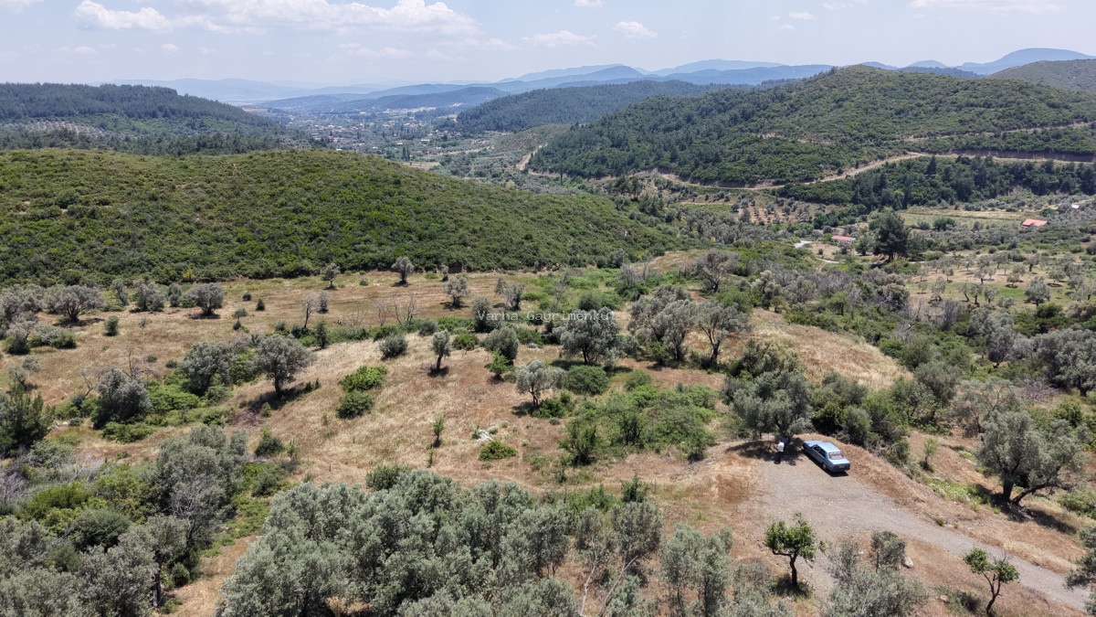 İZMİR ÇATALCADA SATILIK TEKTAPU 3.050 M2 KÖYE YAKIN MANZARALI YATIRIMLIK BAHÇE - 12