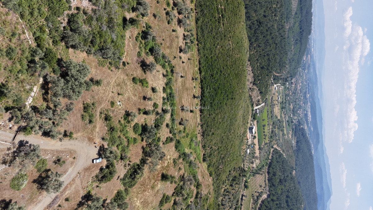 İZMİR ÇATALCADA SATILIK TEKTAPU 3.050 M2 KÖYE YAKIN MANZARALI YATIRIMLIK BAHÇE - 13