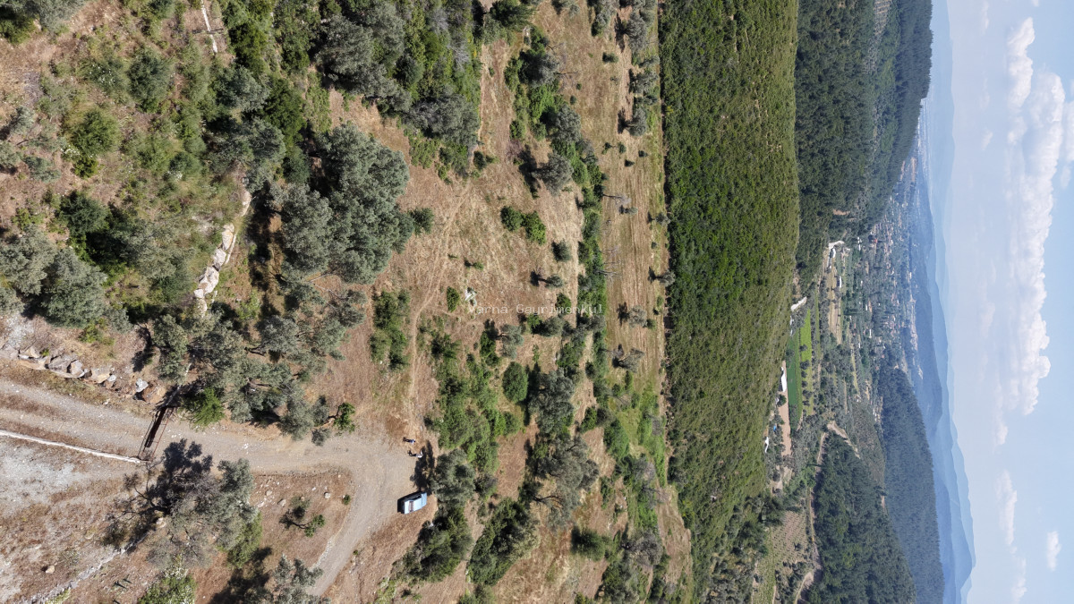 İZMİR ÇATALCADA SATILIK TEKTAPU 3.050 M2 KÖYE YAKIN MANZARALI YATIRIMLIK BAHÇE - 14